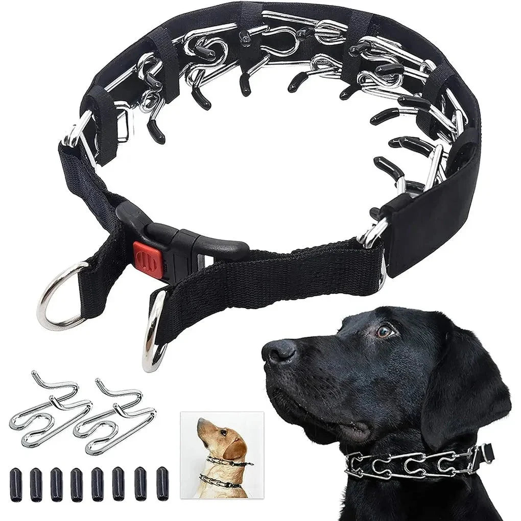 A black prong dog collar with a quick-release buckle, shown with extra metal links and rubber tips, worn by a black dog.