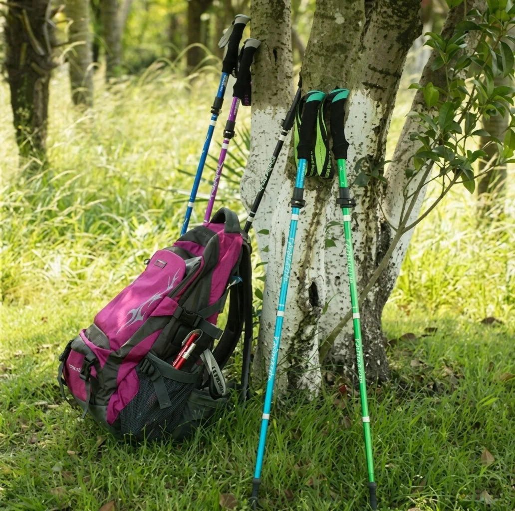 A pink and grey hiking backpack leaning against a tree with three colourful telescopic trekking poles standing nearby.