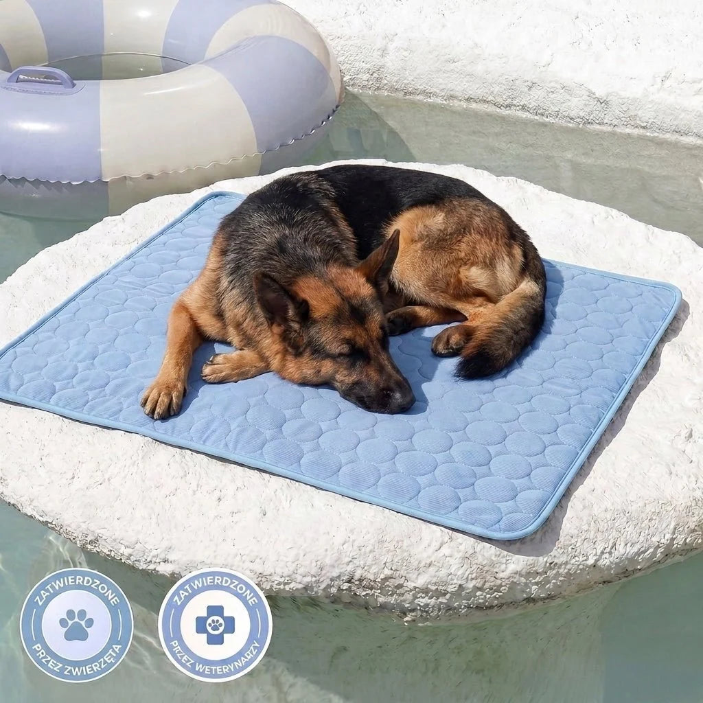 A German Shepherd dog sleeping peacefully on a blue cooling mat placed on a stone platform in a swimming pool.