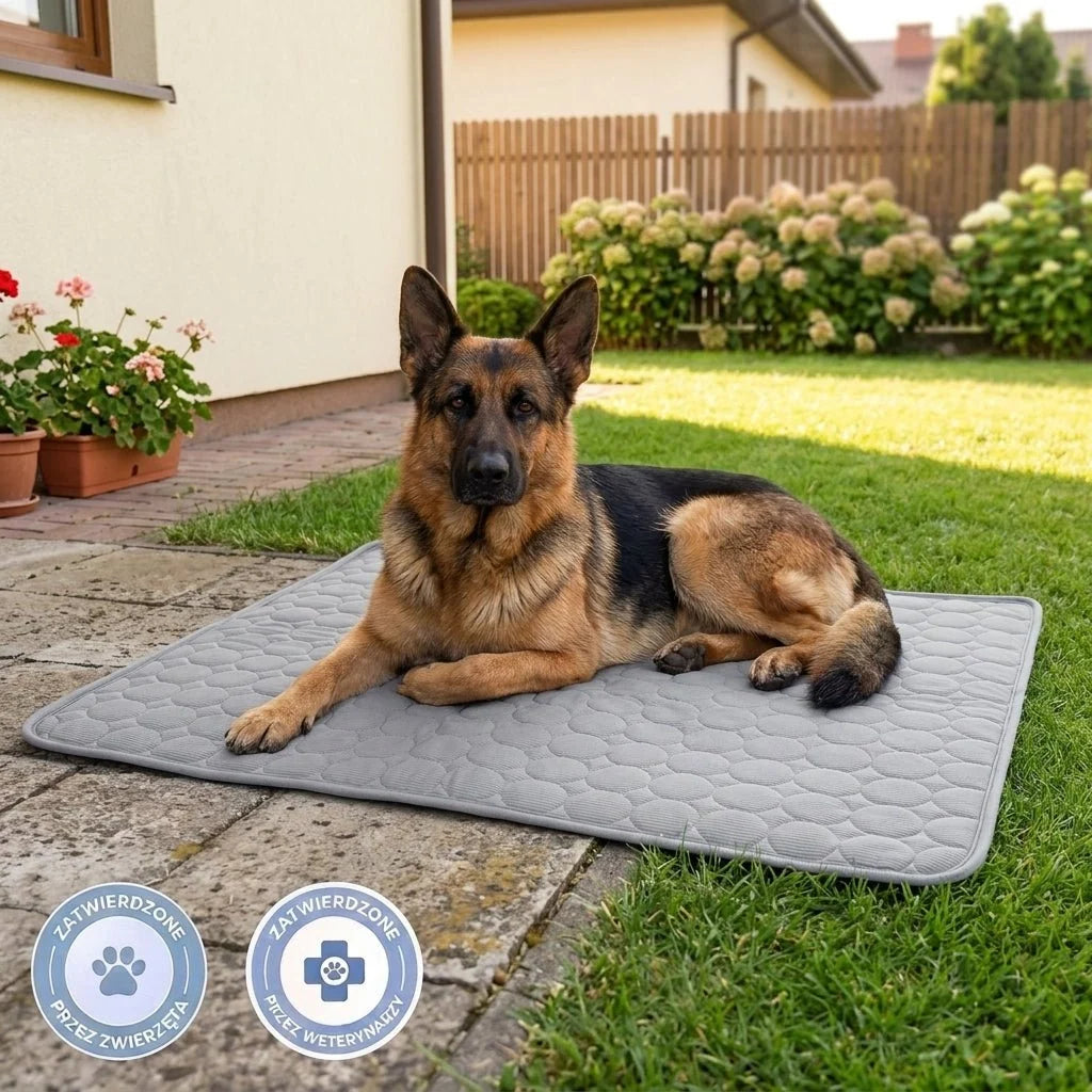 A German Shepherd dog resting on a grey, pressure-activated cooling mat placed on a stone patio in a garden.