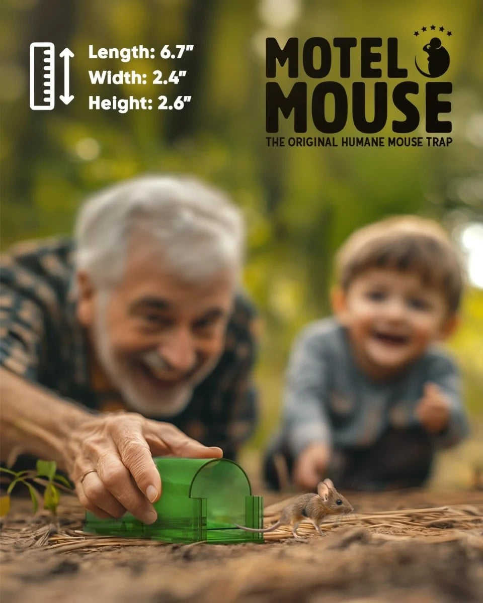 Humane Mouse Trap 4-Pack – Safe for Children and Pets, Touchless Design 5