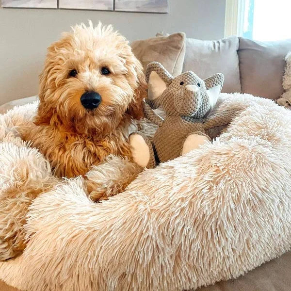 Orthopedic Dog Bed for Anxiety Relief – Calming Support with Raised Borders 2