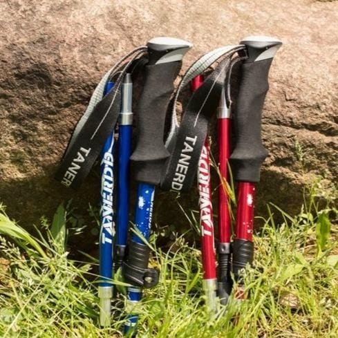 A pair of blue and red foldable trekking poles with black foam handles resting against a large rock in the grass.