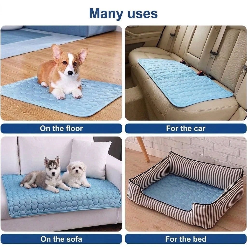 A collage showing a dog cooling mat used on the floor, in a car, on a sofa, and inside a pet bed.