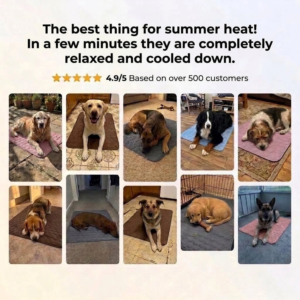 A collage of ten different dogs relaxing on various coloured pressure-activated cooling mats on floors and patios.