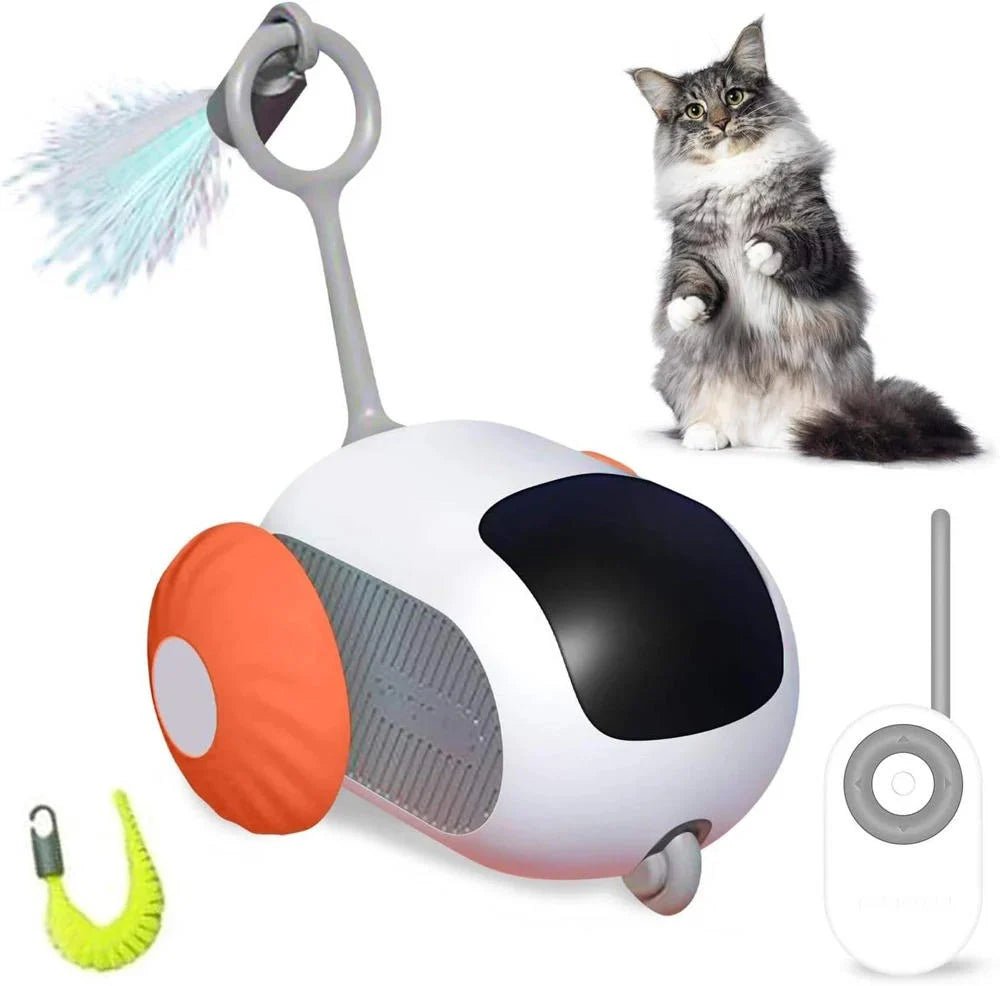 Interactive Cat Toy with Remote Control – Infrared Sensors and Self-Righting Tail for Indoor Play - We are MFEO