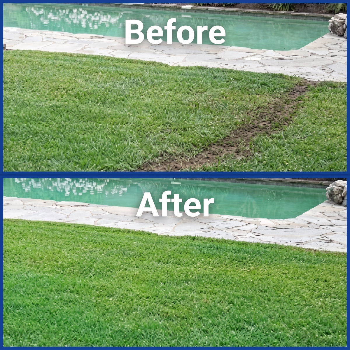 A before and after comparison showing a damaged patch of lawn repaired using liquid grass seed for a lush, green finish.