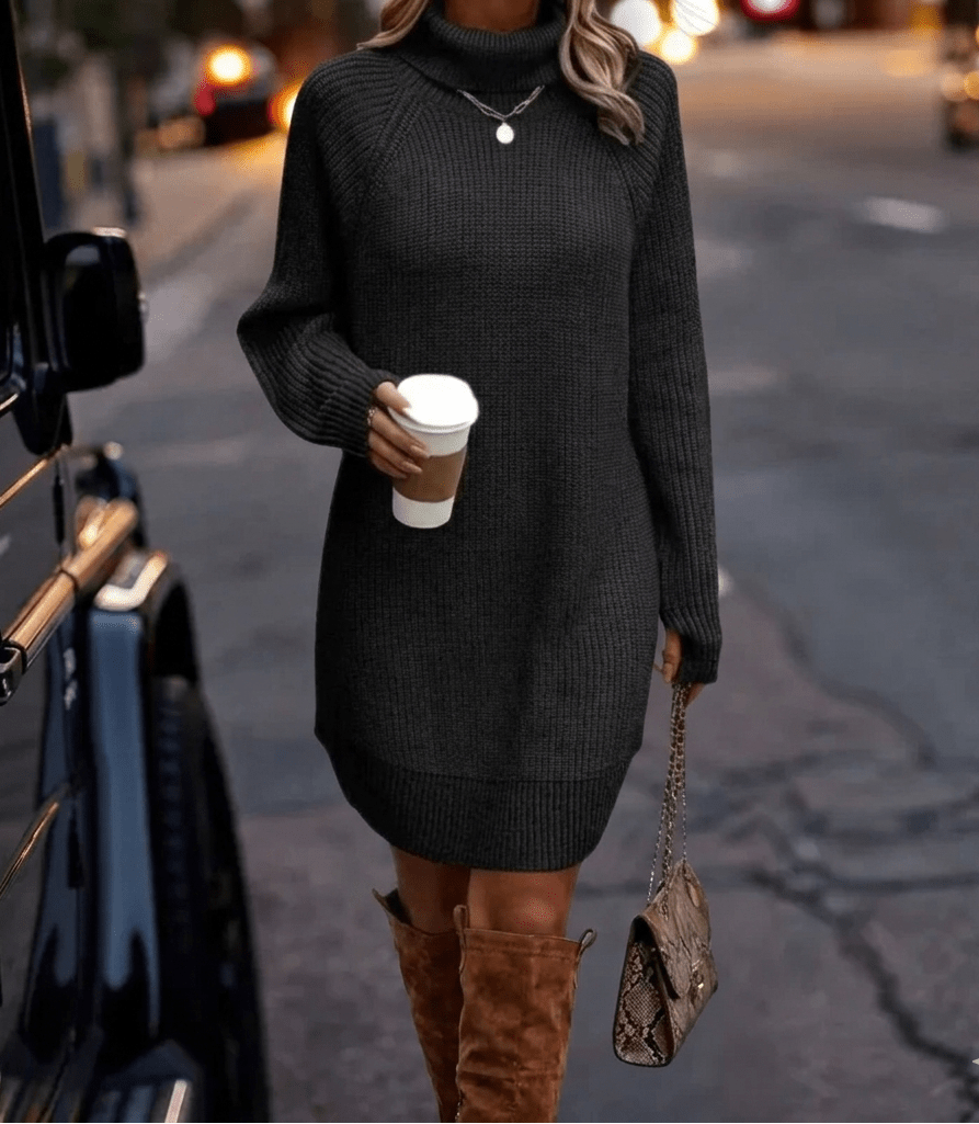 Women's Knit Mini Dress – Long Sleeve Turtleneck - We are MFEO