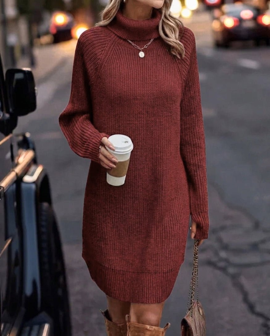 Women's Knit Mini Dress – Long Sleeve Turtleneck - We are MFEO