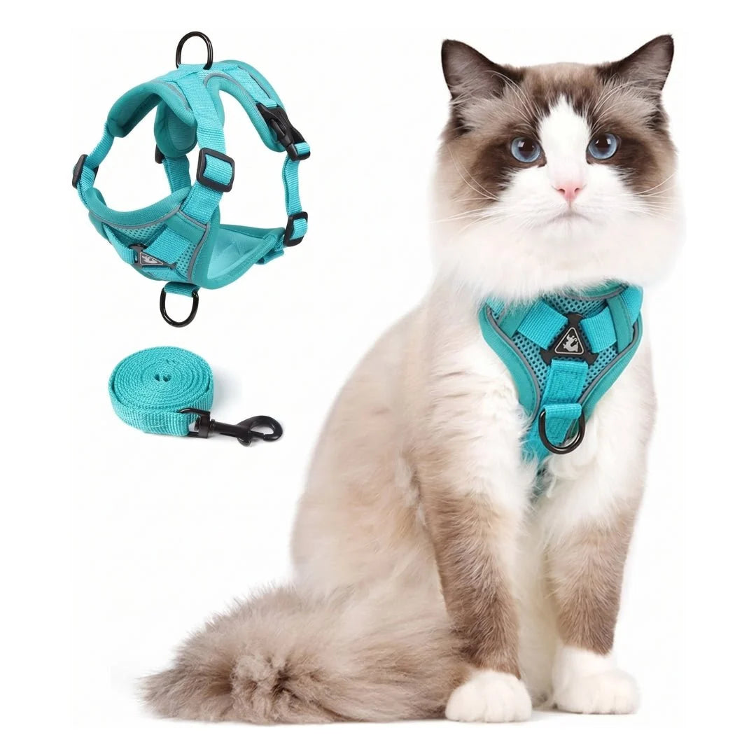 A fluffy ragdoll cat wearing a teal mesh harness, with a matching harness and lead set displayed to the left.