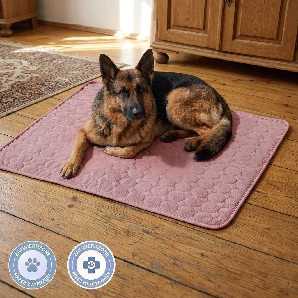 A German Shepherd dog lying on a pink, quilted cooling mat on a wooden floor, with two veterinary approval badges.
