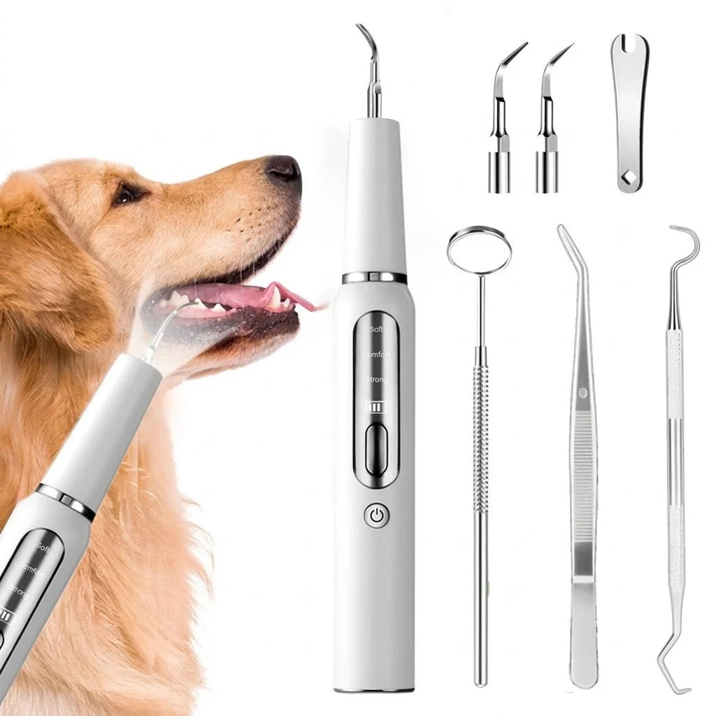 An ultrasonic dog dental cleaner device with various metal attachments and tools for canine teeth care.