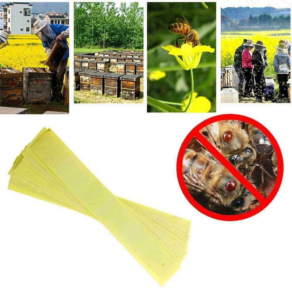 Fluvalinate Insect Repellent Strips for Beekeeping – 20 Pack for Effective Mite Control 5