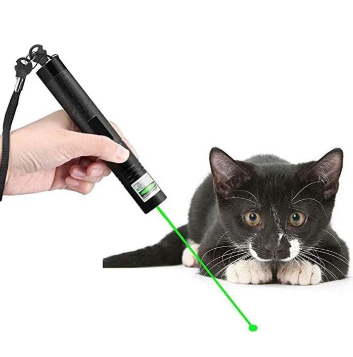 Laser Pointer with Green and Red Beams – Long and Short Distance Use for Presentations and Targeting 1