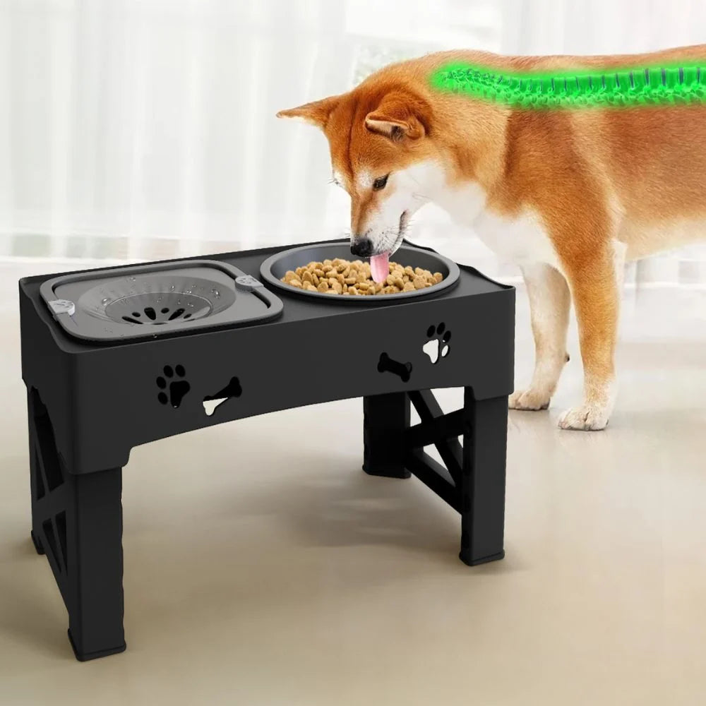 A Shiba Inu eating from an elevated slow feeder dog bowl with a highlighted green graphic showing spinal alignment.