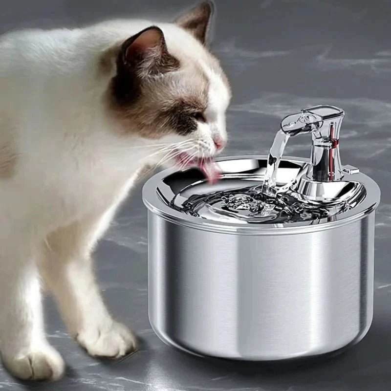 Cat Water Fountain – Stainless Steel, 2L Capacity with Filtration for Multiple Pets - We are MFEO