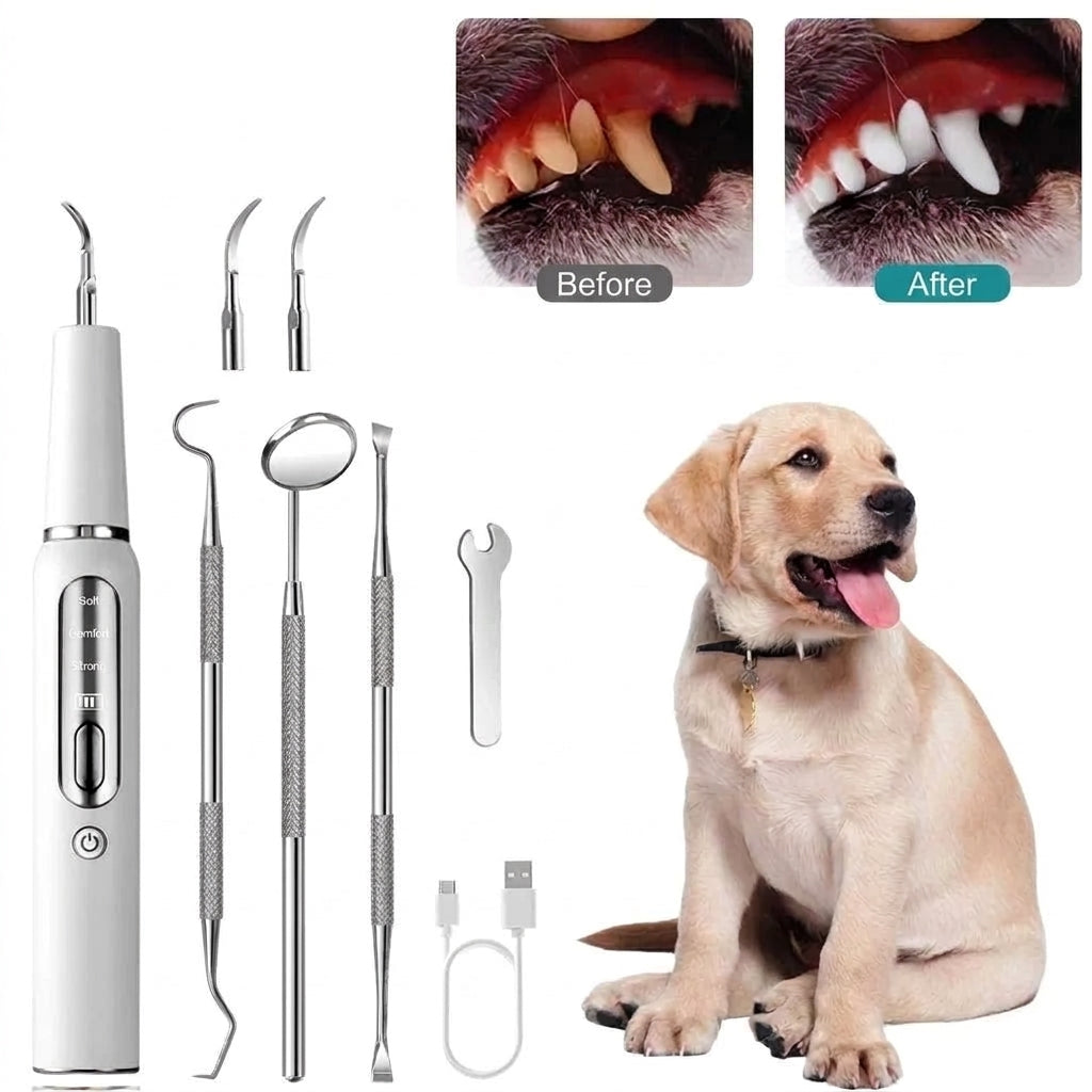 A dog dental cleaner kit with an ultrasonic device, metal tools, and a charging cable, showing before and after results.