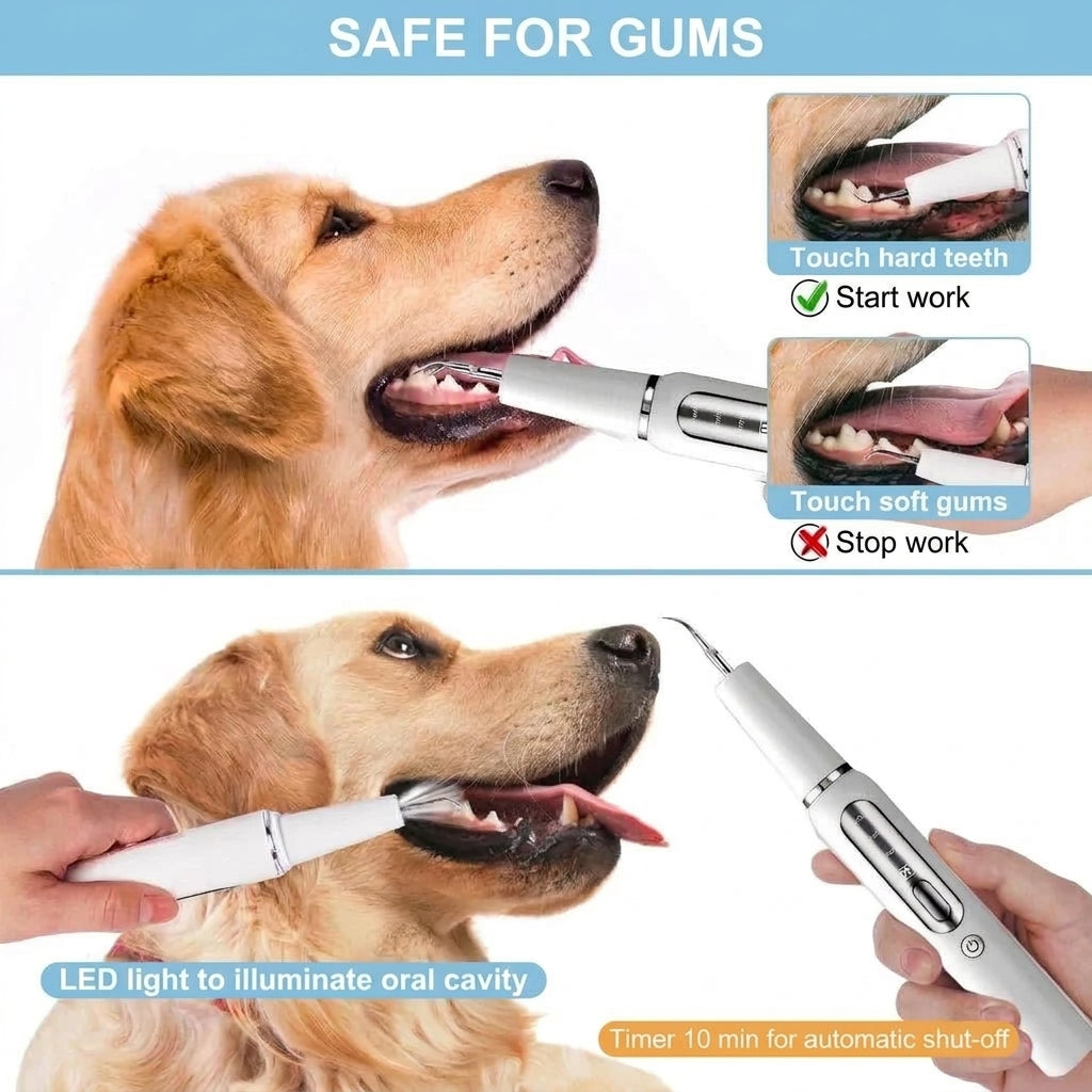 A dog dental cleaner being used on a dog's teeth, showing safety instructions for hard teeth and soft gums with LED light.