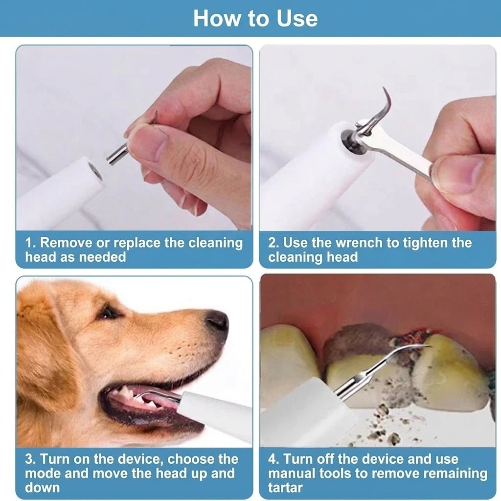 Four-step guide on how to use a dog dental cleaner, showing head replacement, tightening, operation on teeth, and scaling.