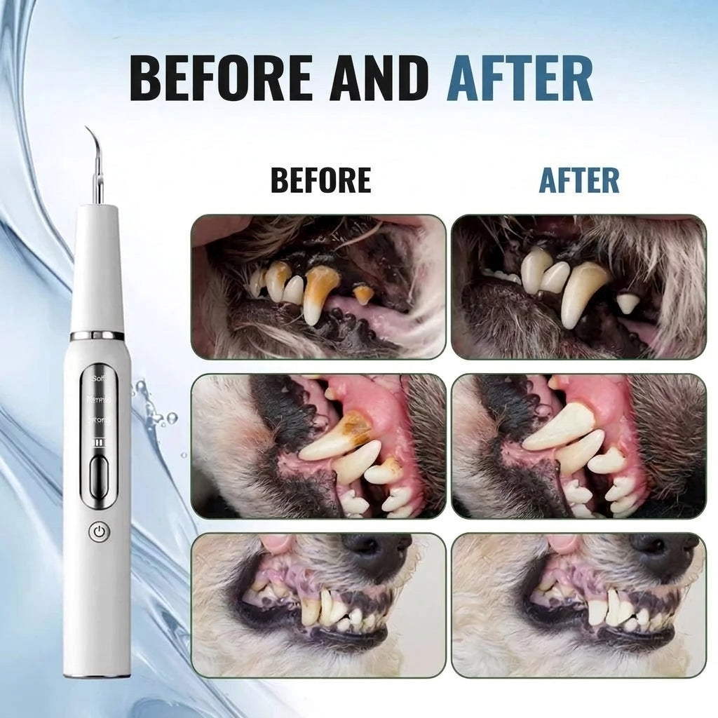 A dog dental cleaner device shown next to three before-and-after comparison photos of a dog's teeth showing tartar removal.