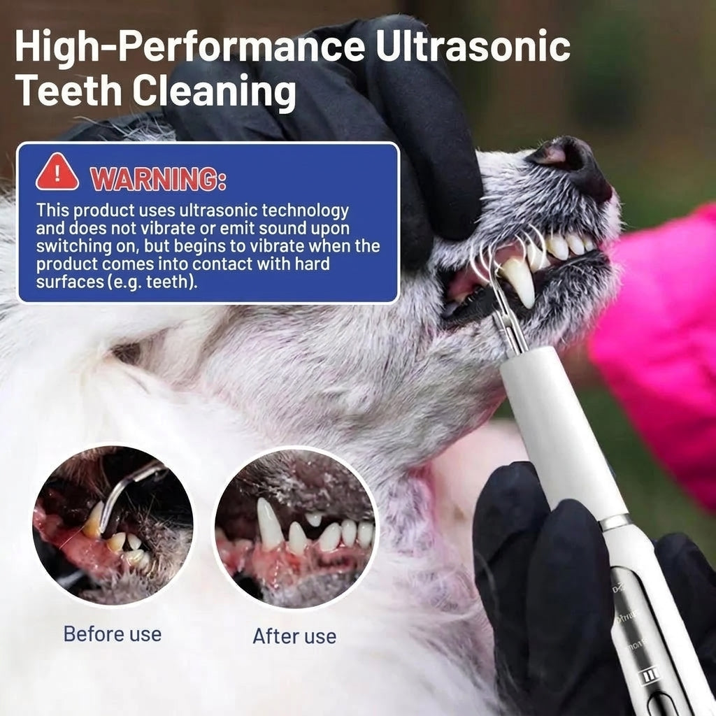 A dog's teeth being cleaned with an ultrasonic dental device, showing before and after results of plaque removal.