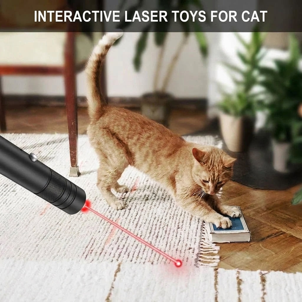 A ginger cat playing with a red laser pointer beam on a rug in a living room.