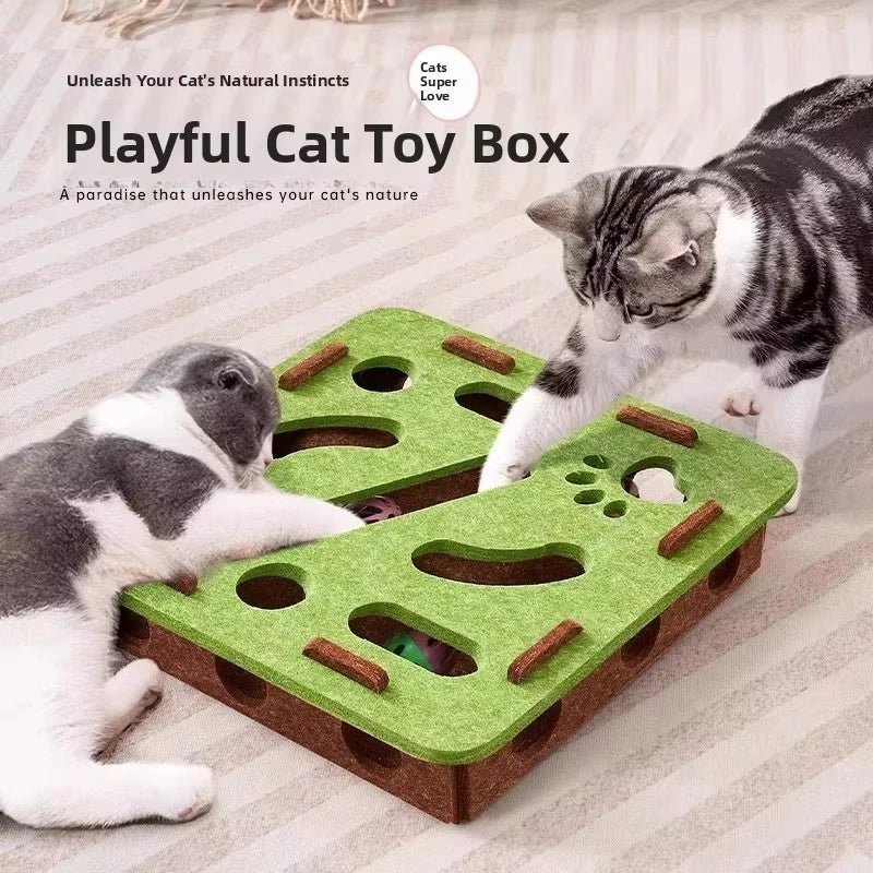 Interactive Cat Toy Puzzle Box – Durable Felt for Indoor Play and Mental Stimulation - We are MFEO