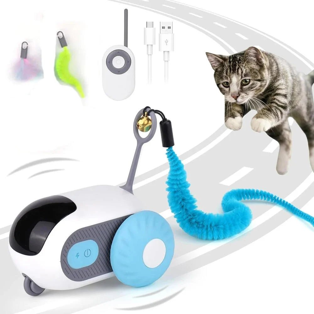 Interactive Cat Toy with Remote Control – Infrared Sensors and Self-Righting Tail for Indoor Play - We are MFEO