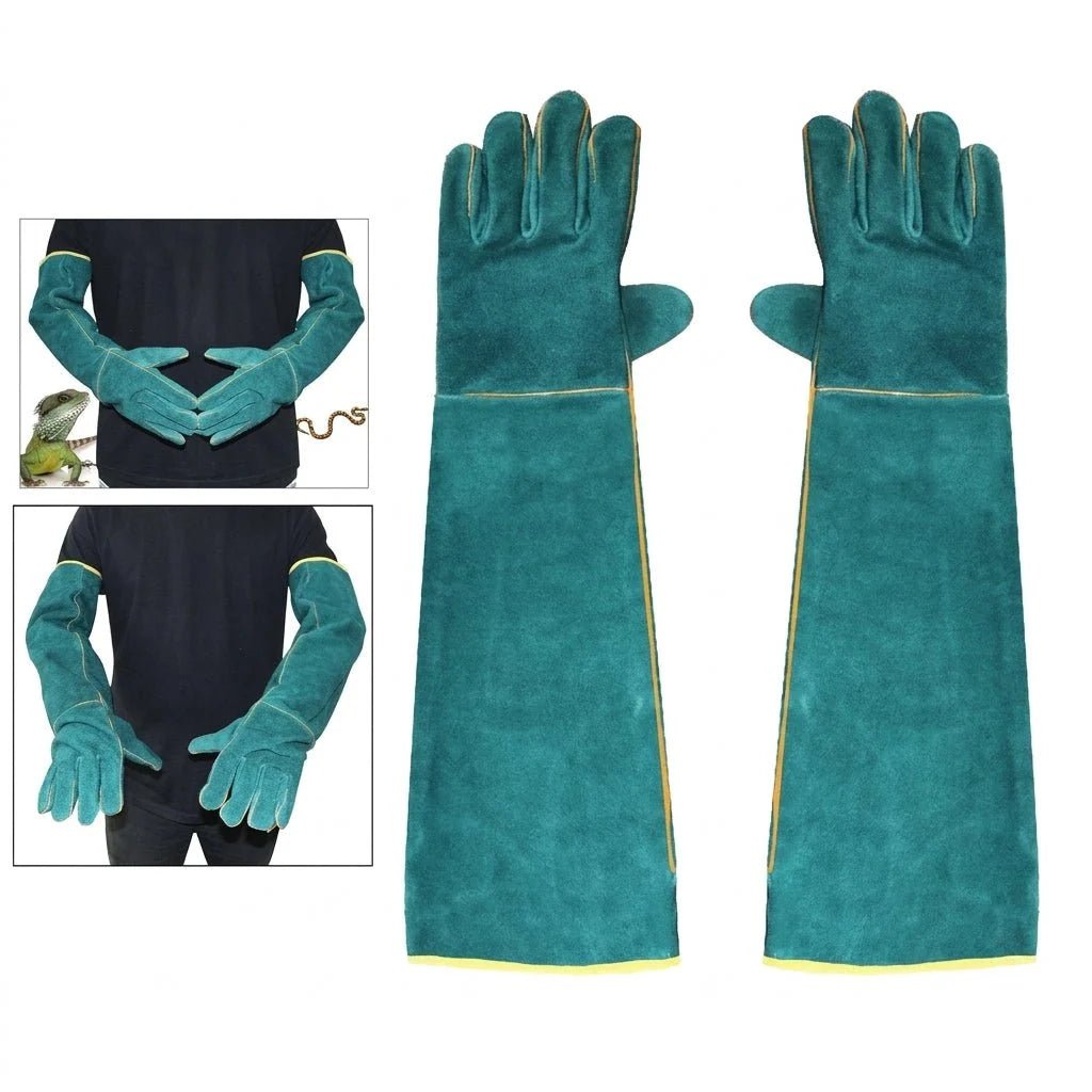 A pair of long, teal-coloured leather animal handling gloves with cotton lining, shown both worn and laid flat.